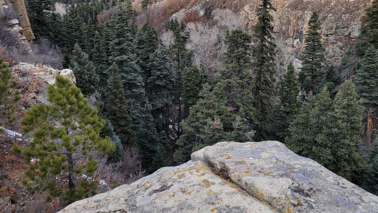 Photo of Outdoor in La Veta