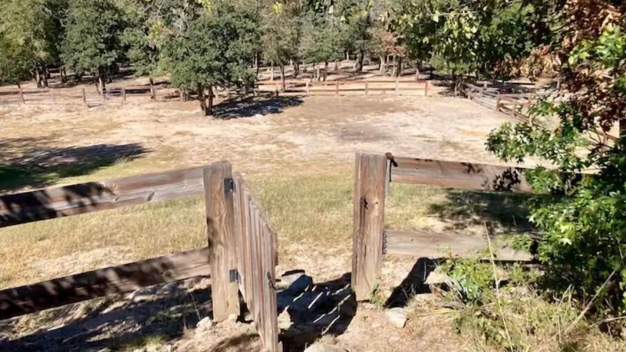 Photo of Outdoor in Annetta North