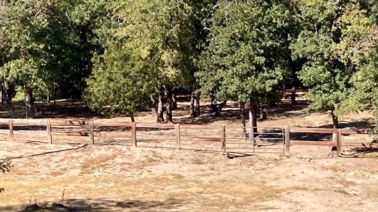 Photo of Outdoor in Annetta North