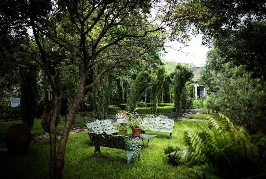 Photo of Outdoor in Old West Austin