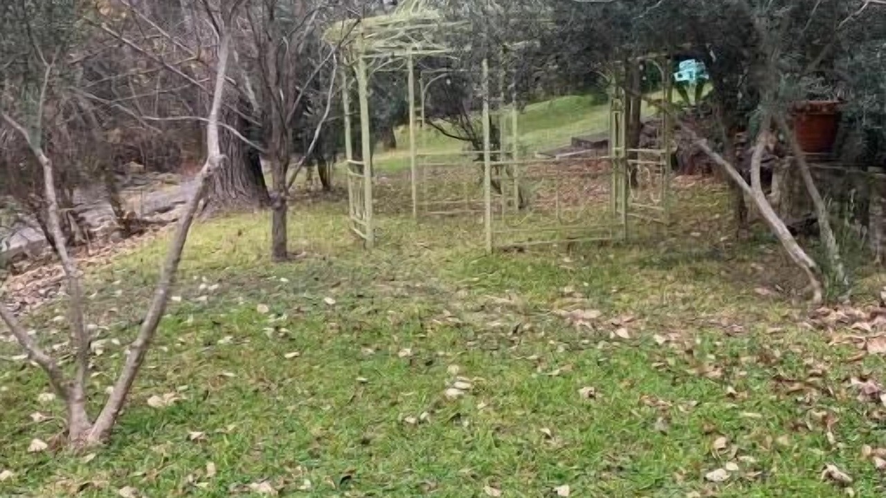 Photo of Outdoor in Old West Austin