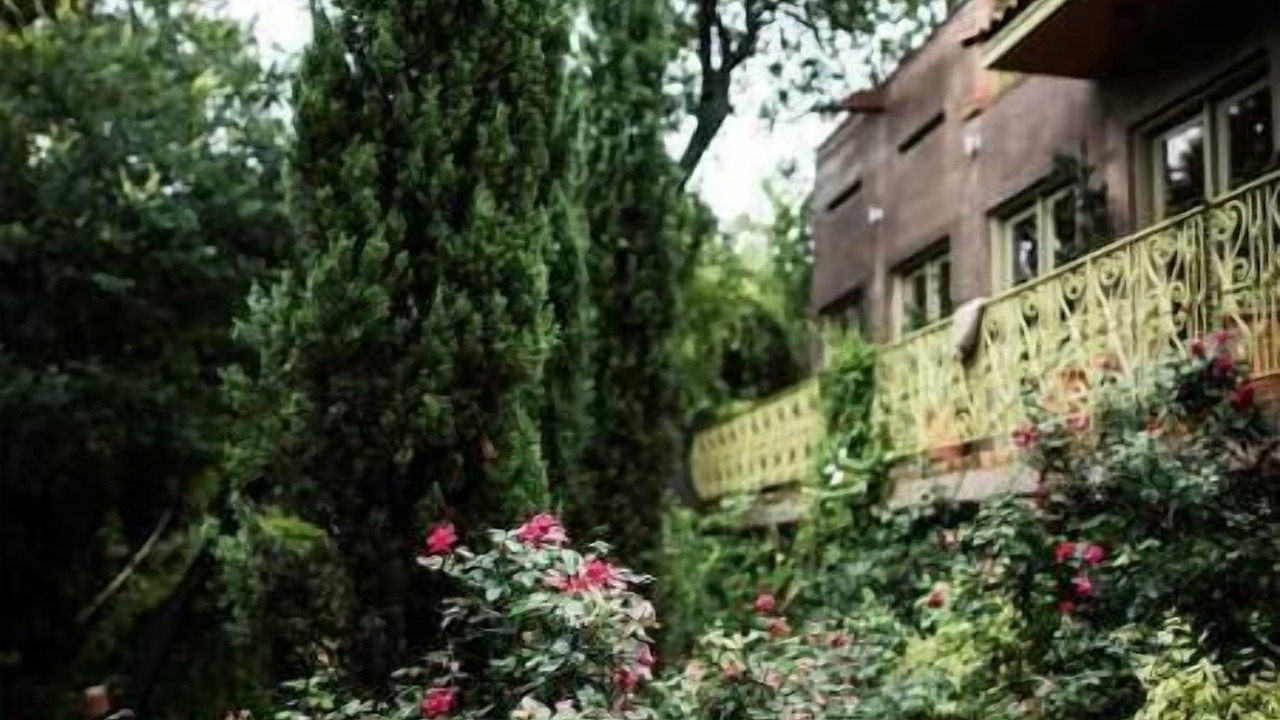 Photo of Outdoor in Old West Austin