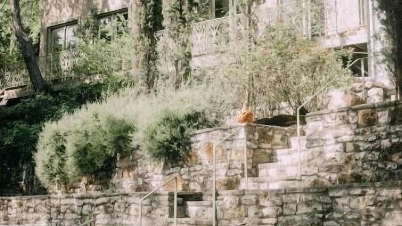 Photo of Outdoor in Old West Austin