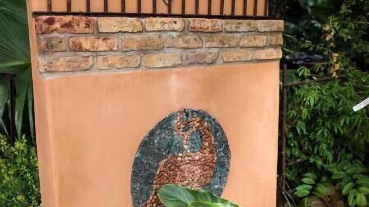 Photo of Outdoor in Old West Austin