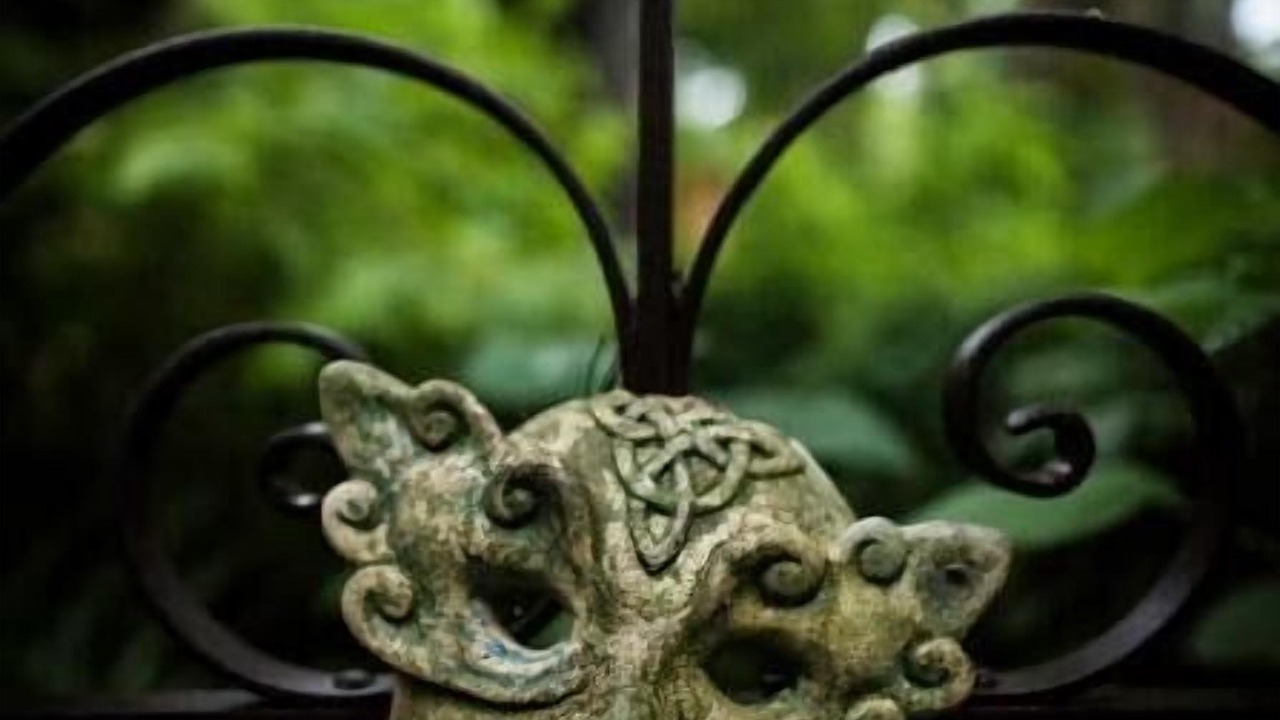 Photo of Outdoor in Old West Austin