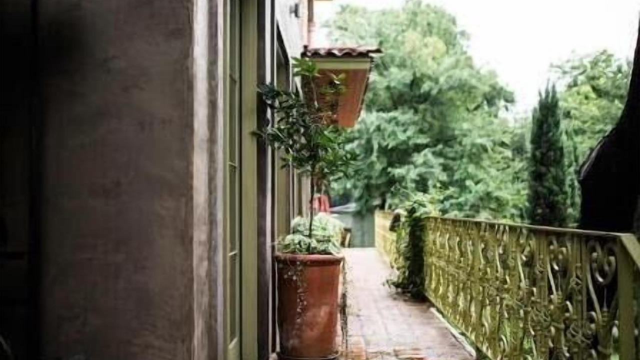 Photo of Outdoor in Old West Austin