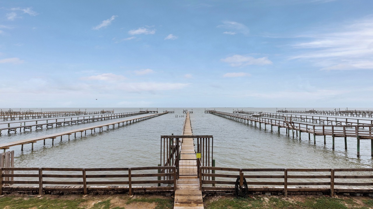Photo of Others in Port Mansfield