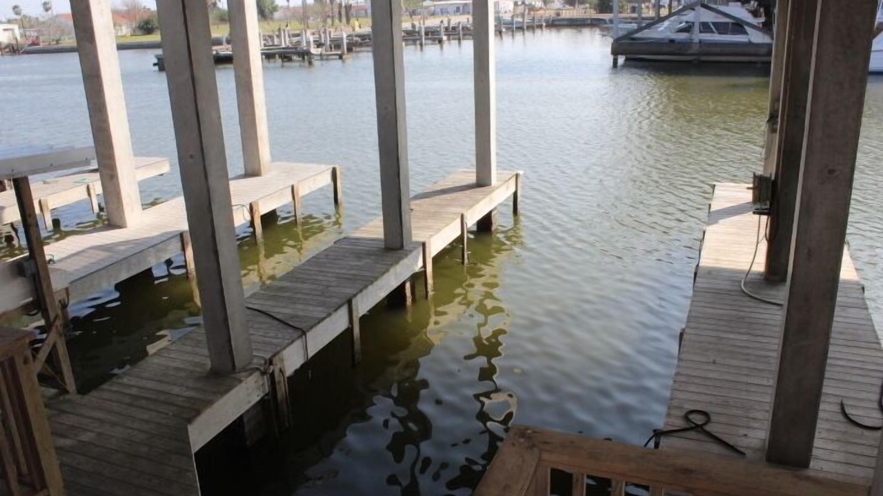 Photo of Others in Port Mansfield