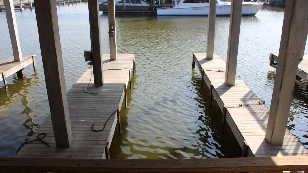 Photo of Others in Port Mansfield