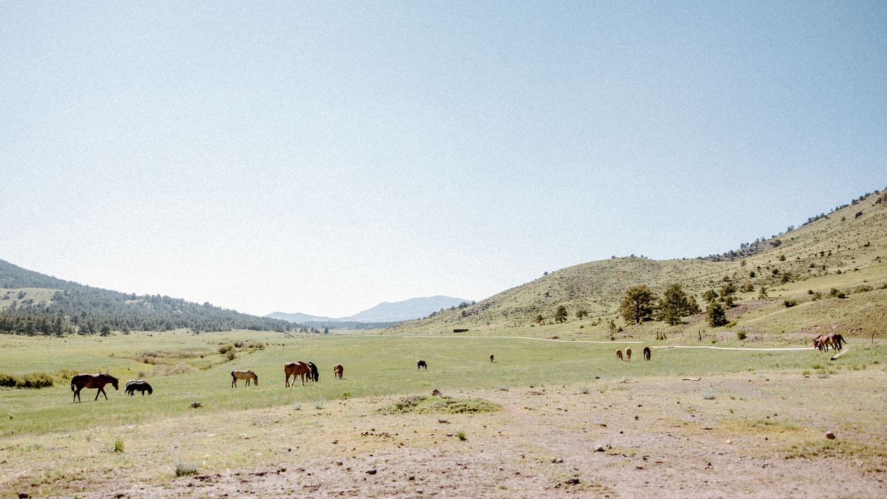 Photo of Others in Park County