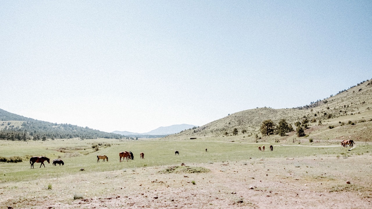 Photo of Outdoor in Park County