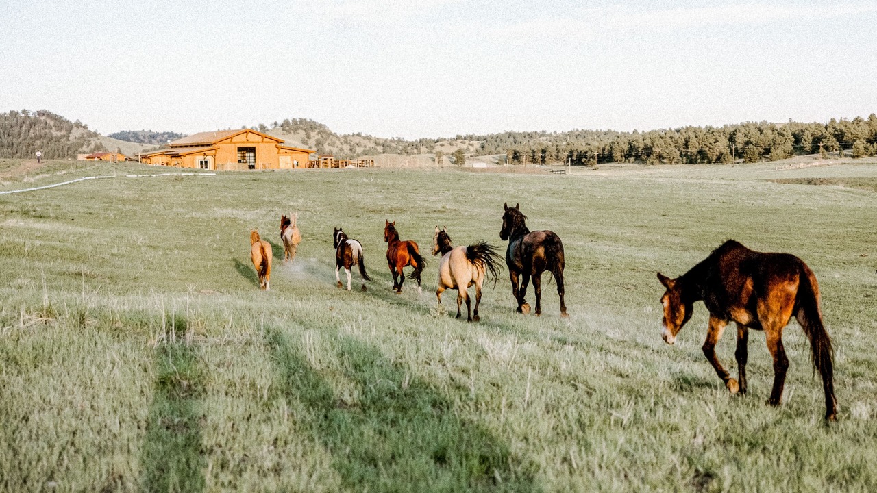 Photo of Outdoor in Park County
