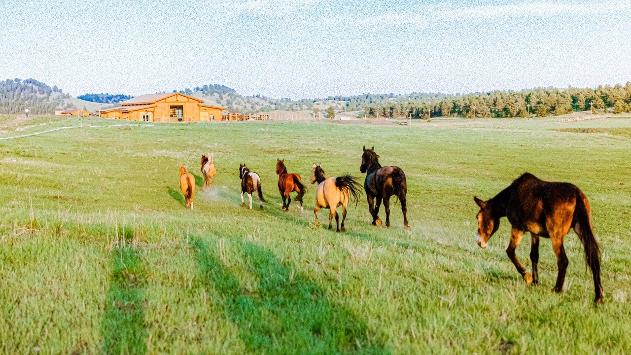 Photo of Others in Park County