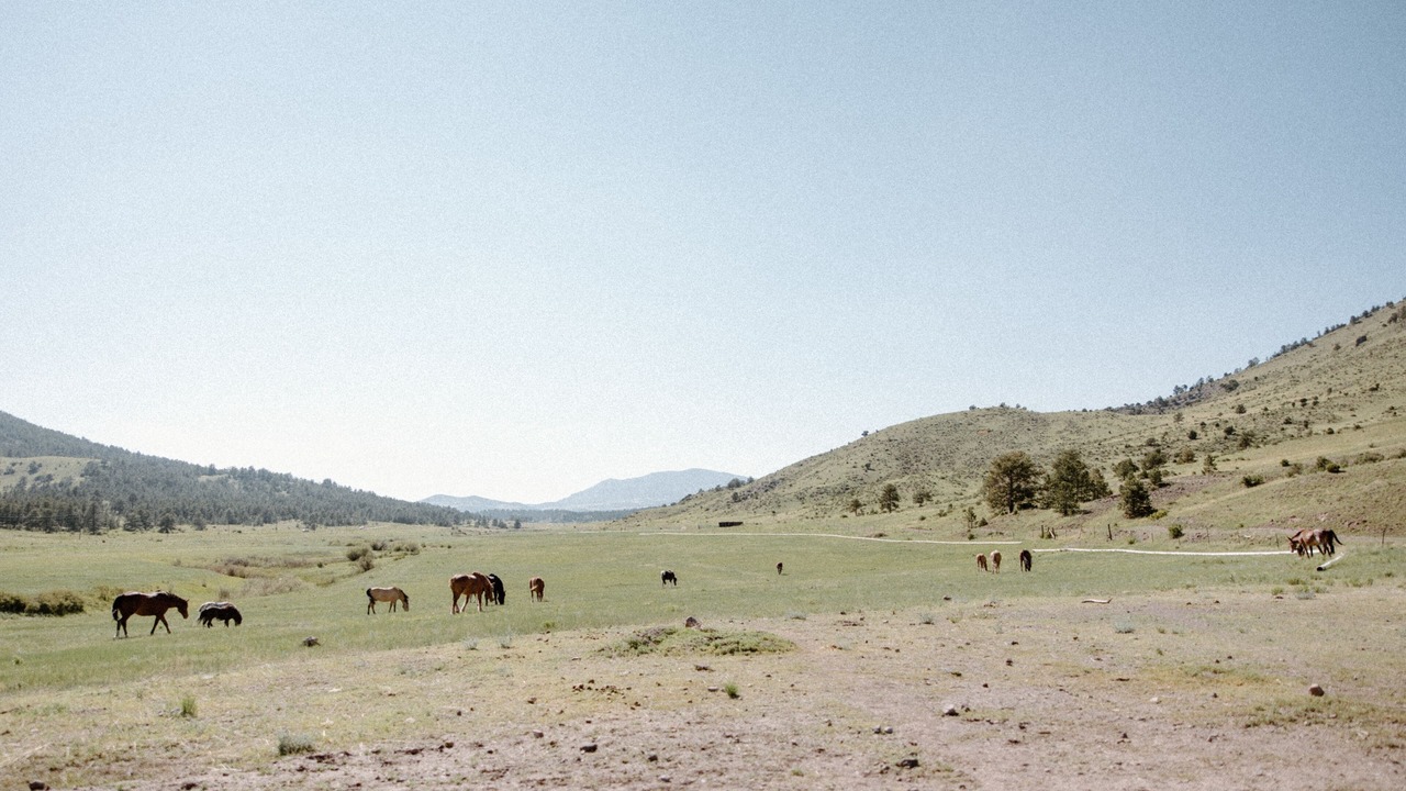 Photo of Others in Park County