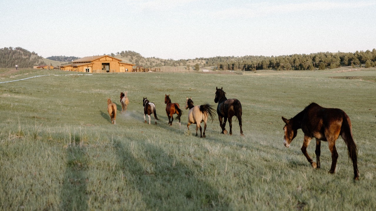 Photo of Outdoor in Park County