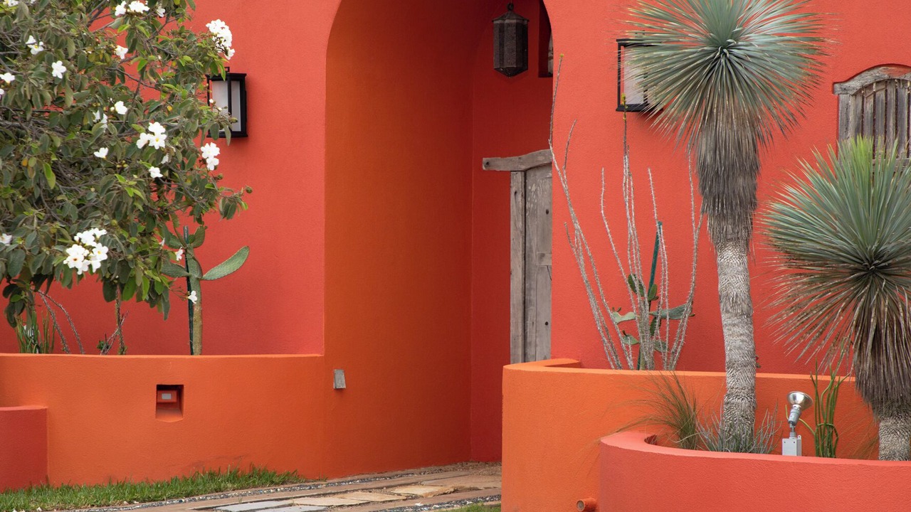 Photo of Outdoor in South Padre Island
