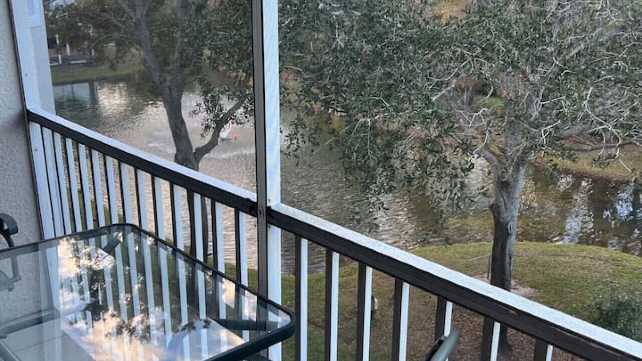 Photo of Outdoor in Lutz
