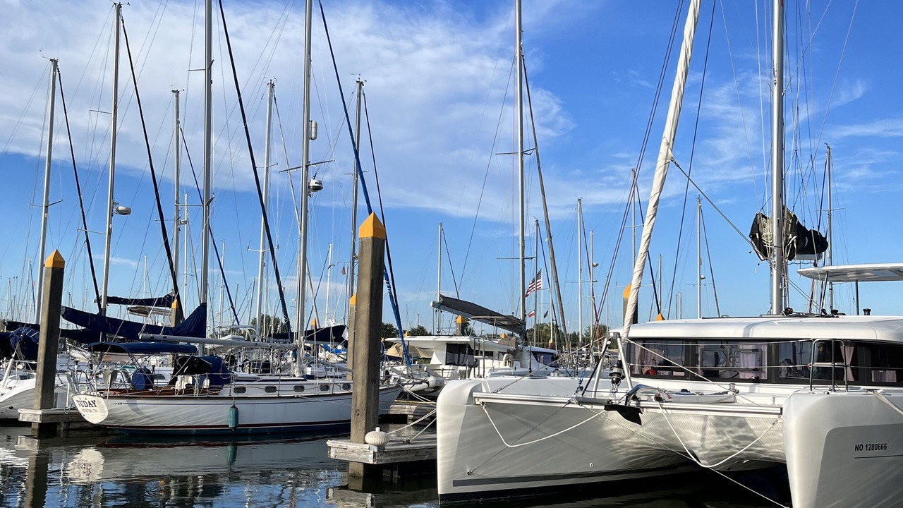Photo of Others in Nassau Bay