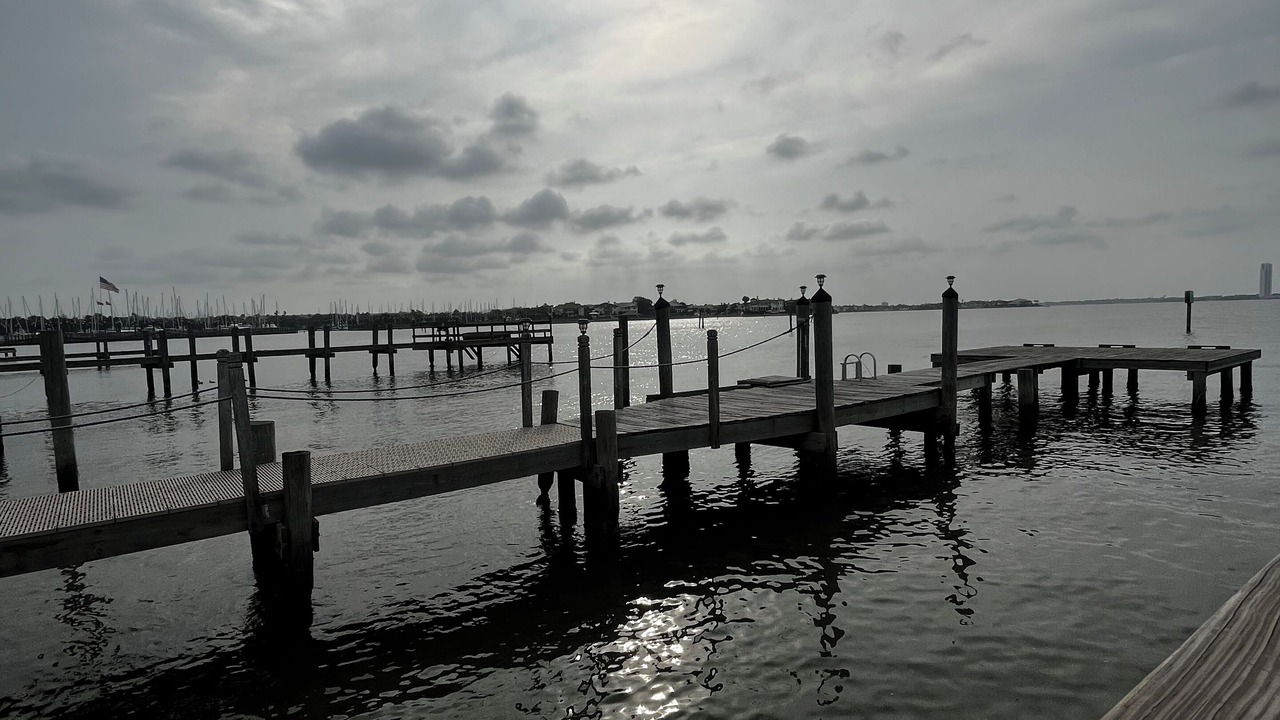 Photo of Others in Nassau Bay