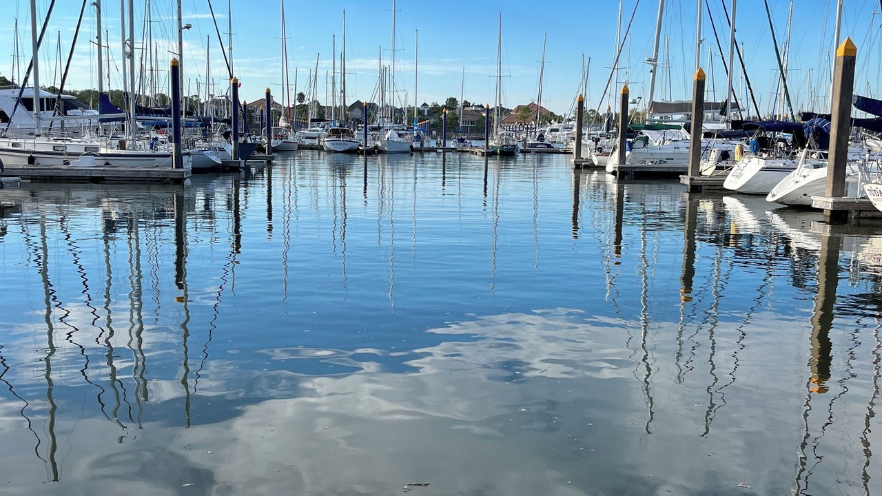 Photo of Others in Nassau Bay