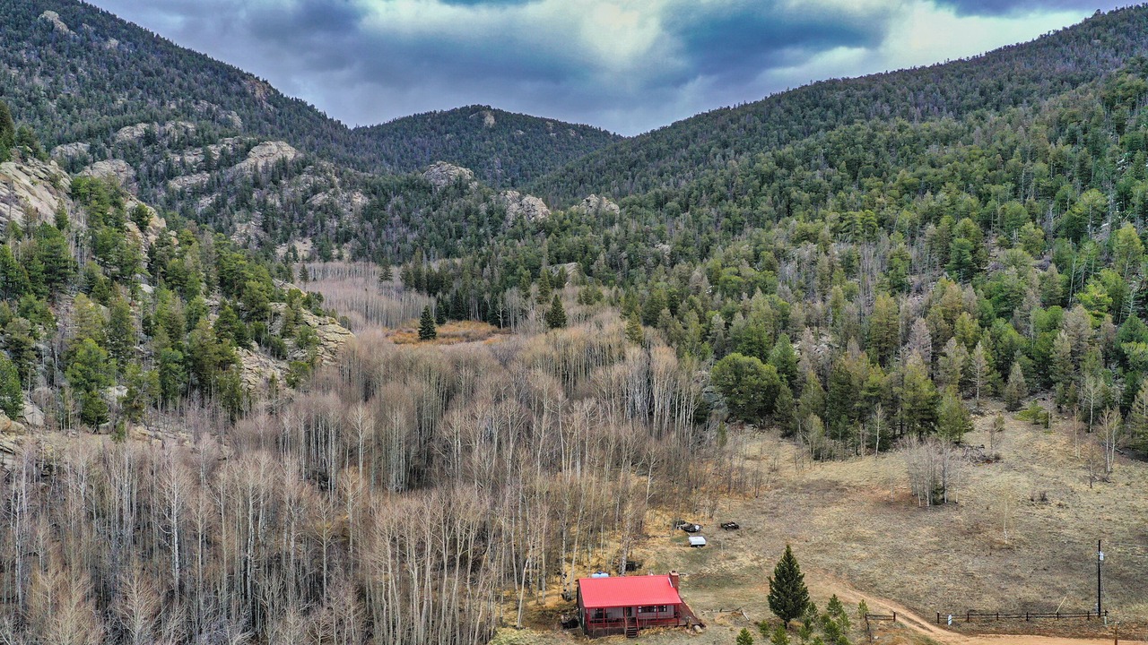 Photo of Outdoor in Tarryall