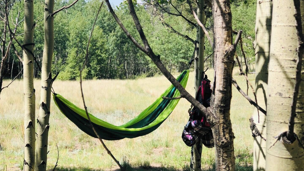 Photo of Others in Tarryall