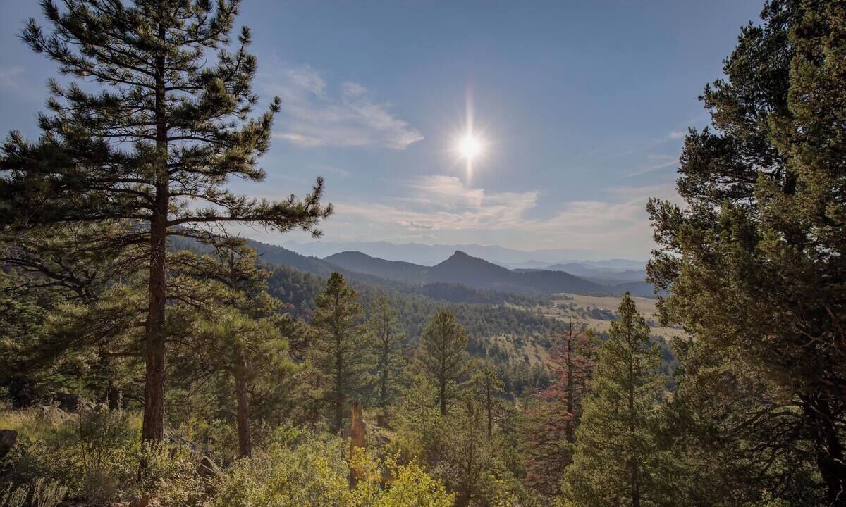 Photo of Others in Westcliffe