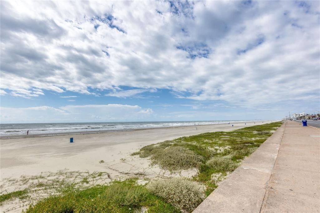 Photo of Others in Galveston