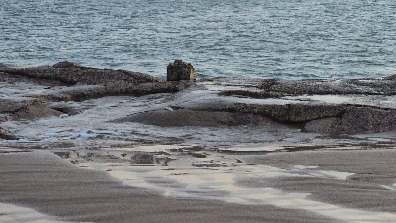 Photo of Others in South Padre Island