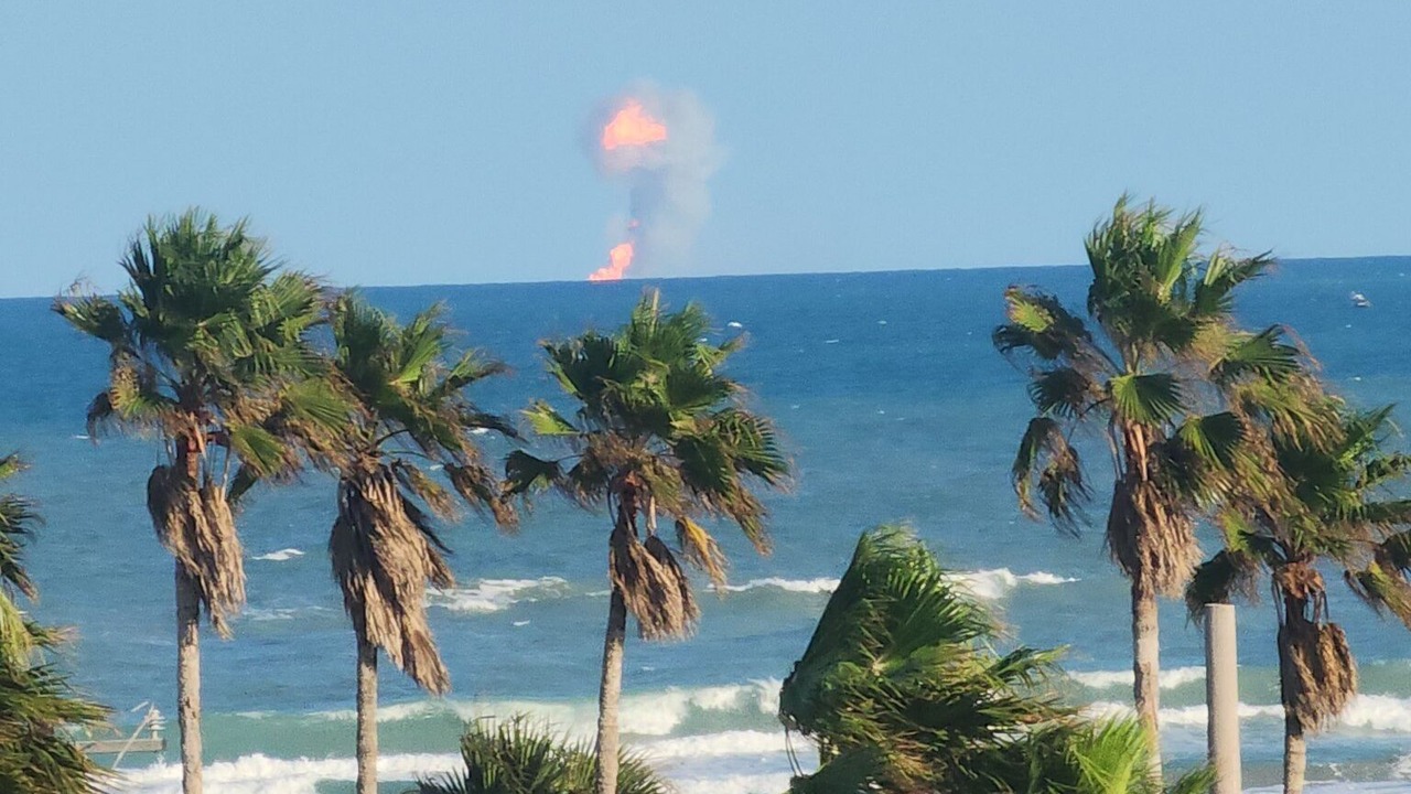 Photo of Others in South Padre Island