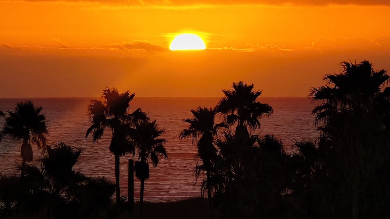 Photo of Patio Balcony in South Padre Island