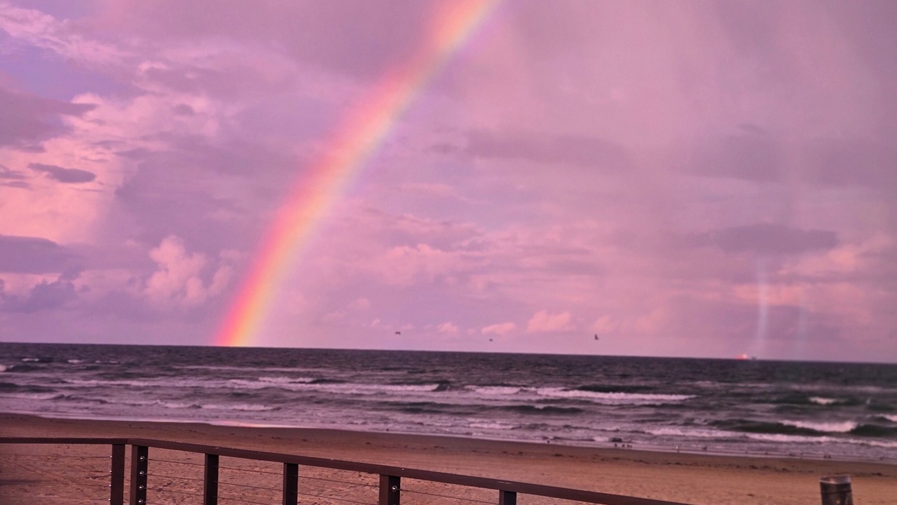Photo of Others in South Padre Island