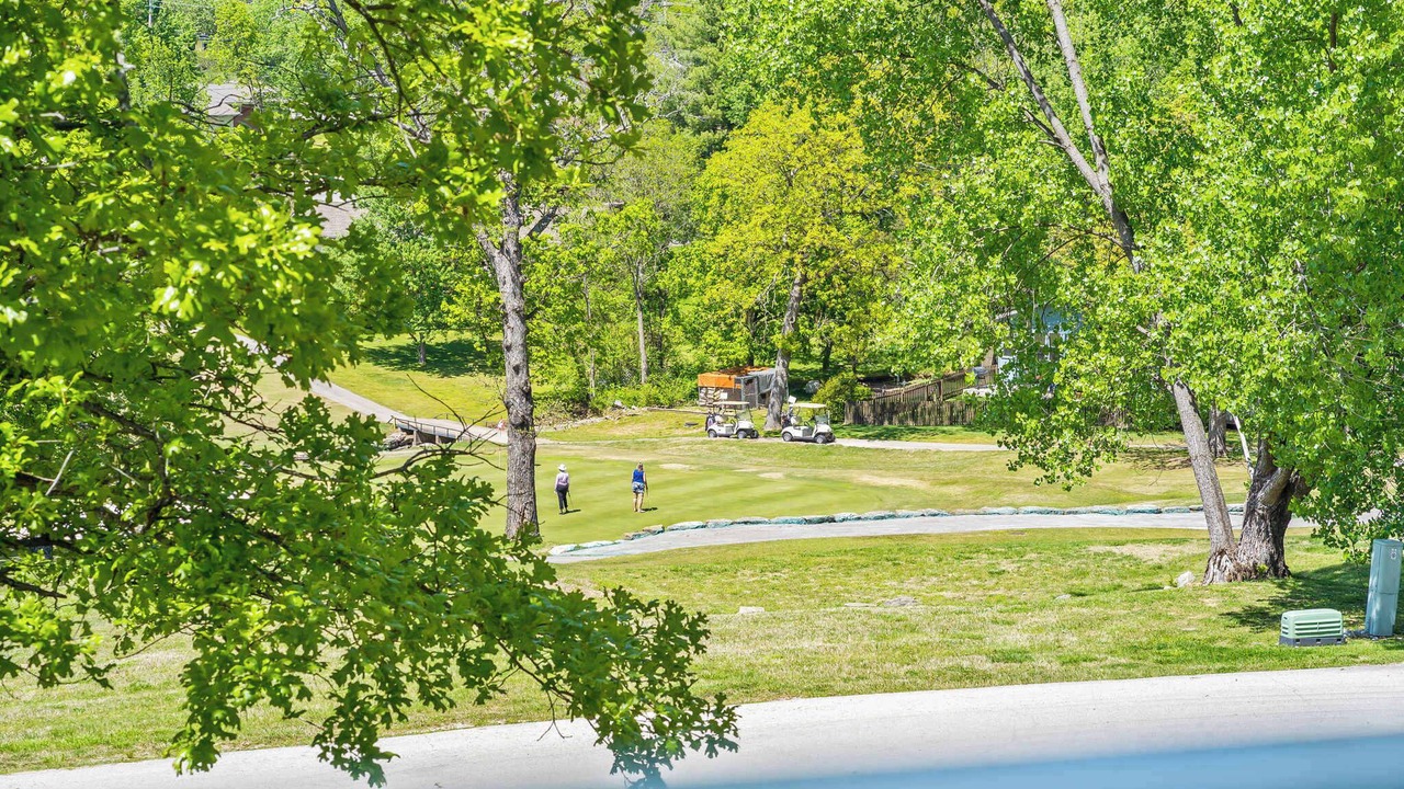 Photo of Others in Branson