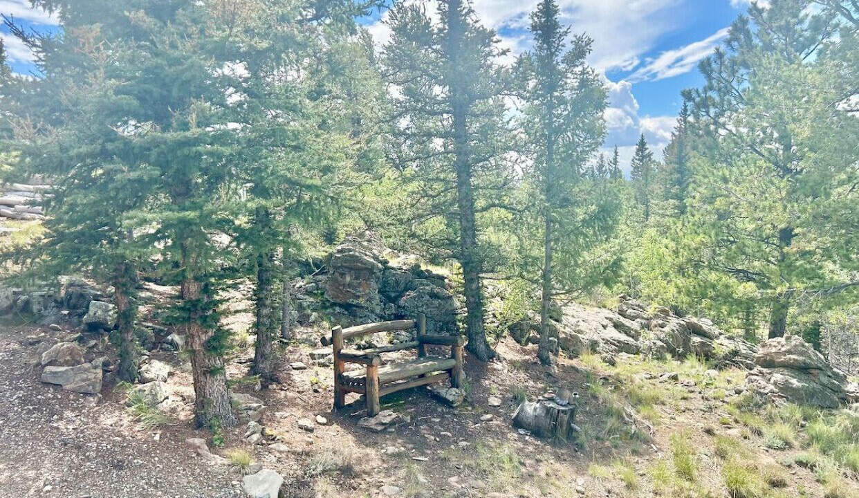 Photo of Others in Indian Mountain