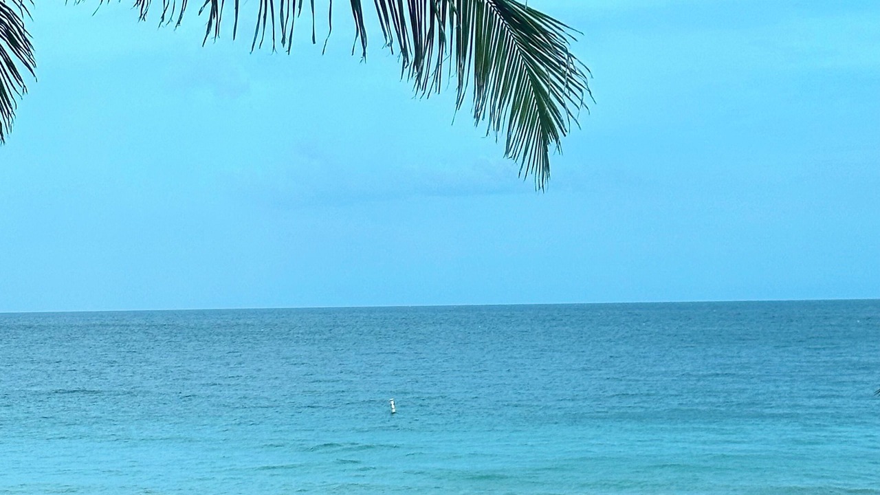 Photo of Others in Lauderdale-by-the-Sea