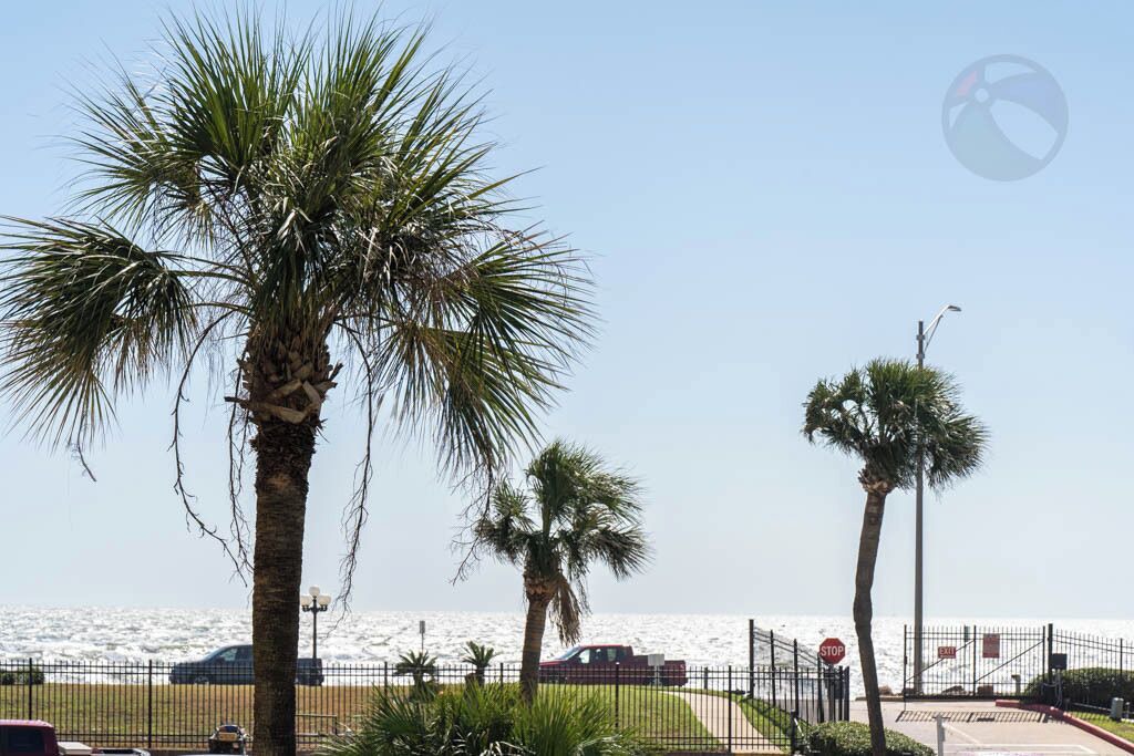 Photo of Others in Galveston