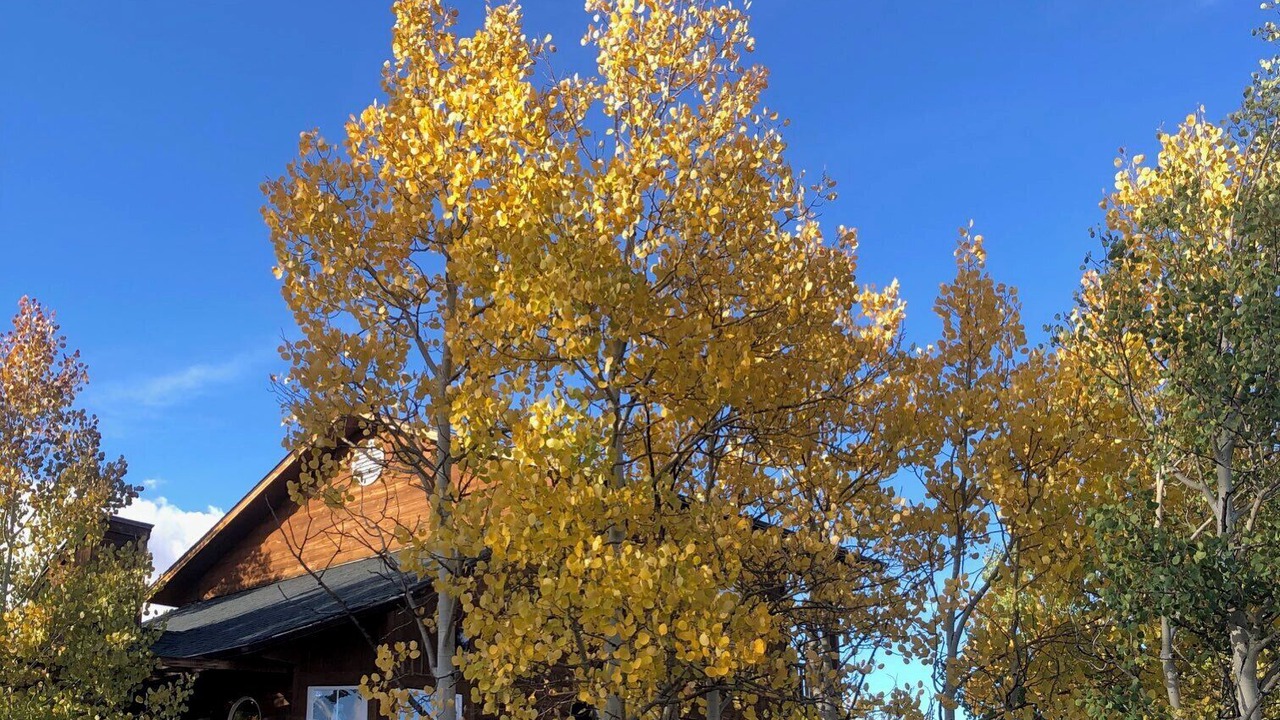 Photo of Outdoor in Indian Mountain