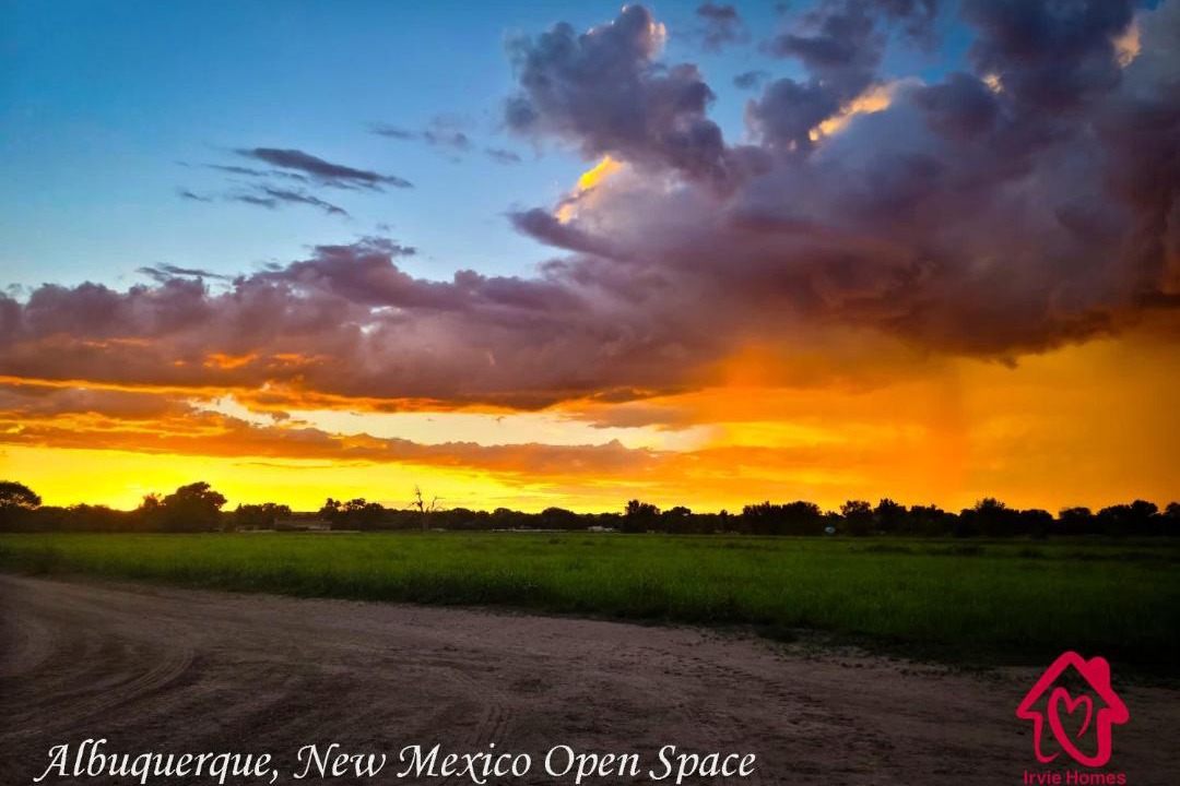 Photo of Others in Albuquerque