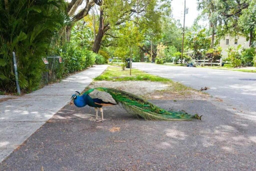 Photo of Others in River Oaks