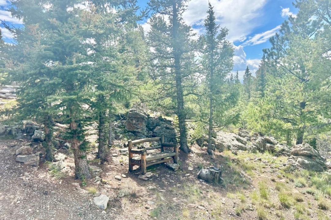 Photo of Others in Indian Mountain