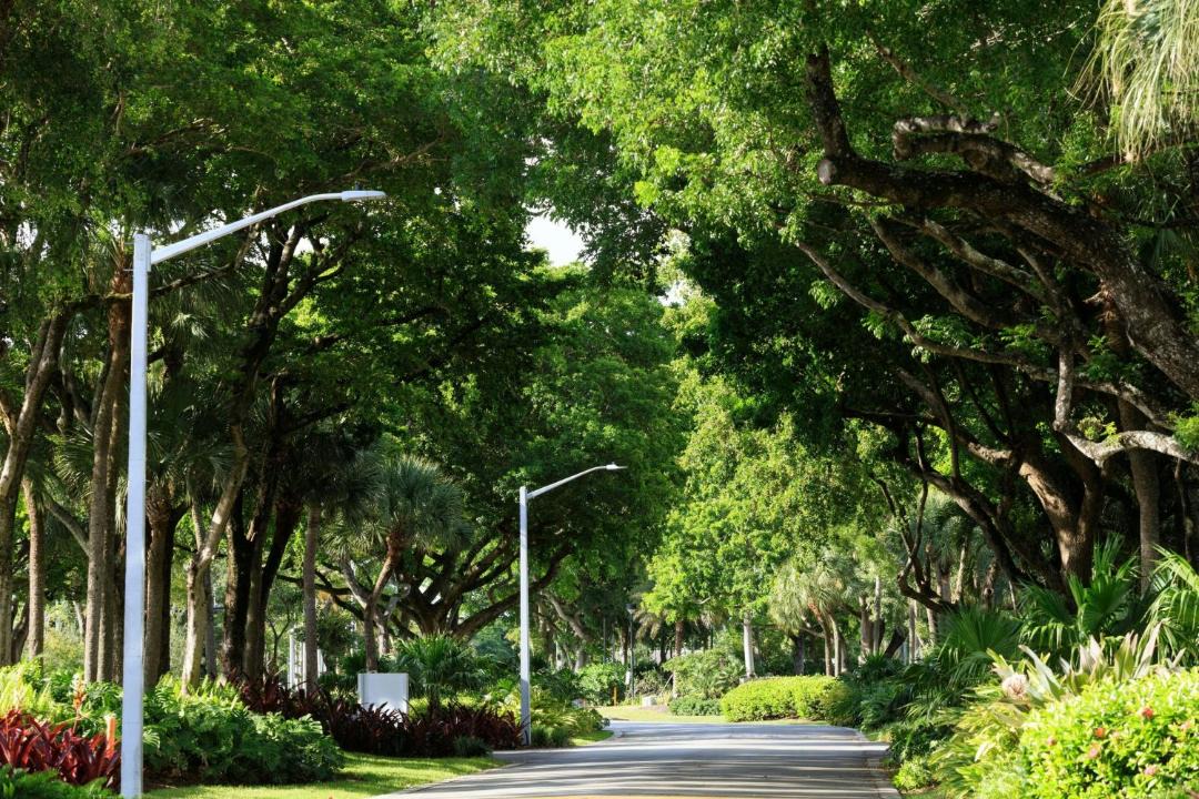 Photo of Others in Oakland Park