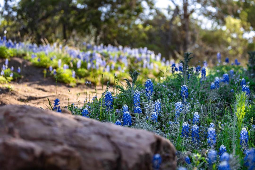 Photo of Outdoor in Llano
