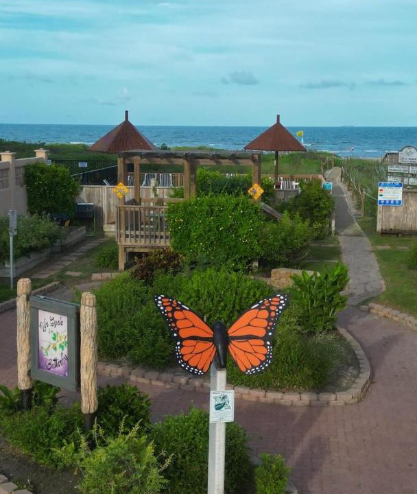 Photo of Others in South Padre Island