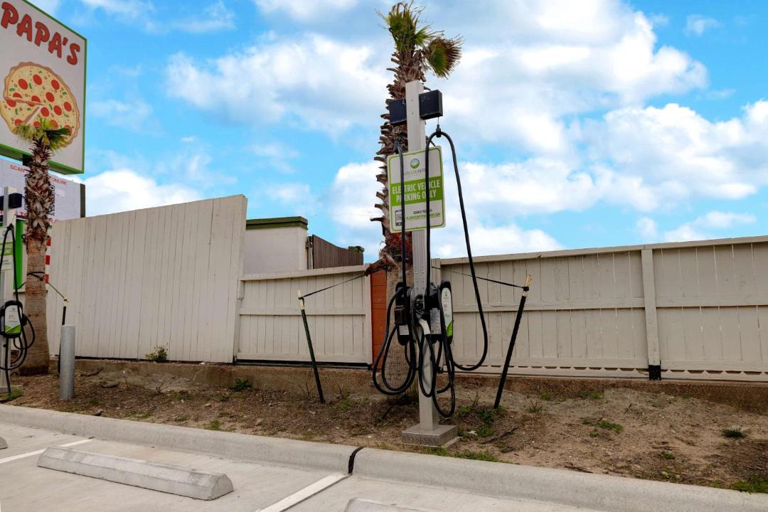 Photo of Others in Galveston