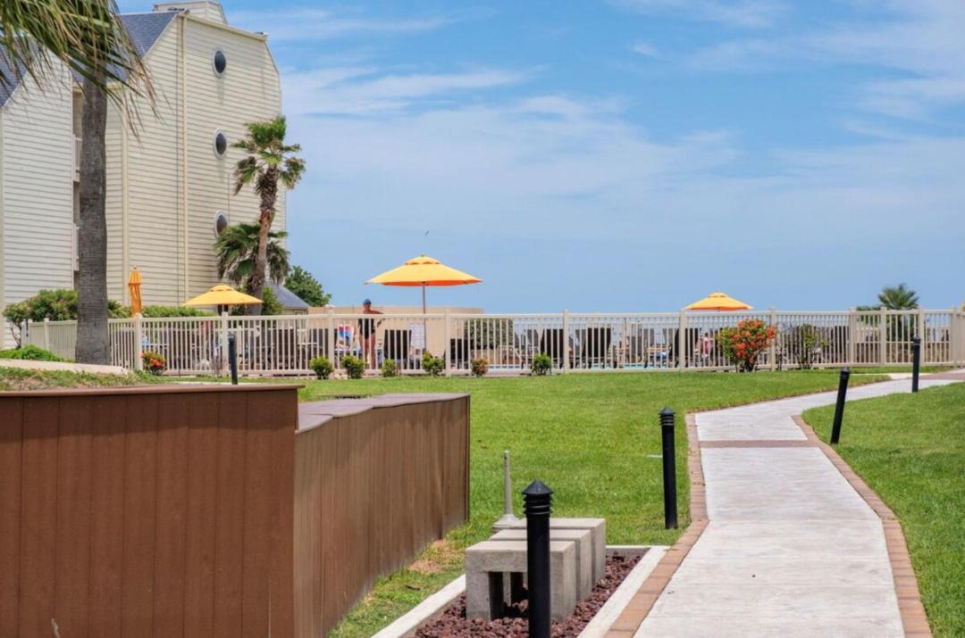 Photo of Others in South Padre Island