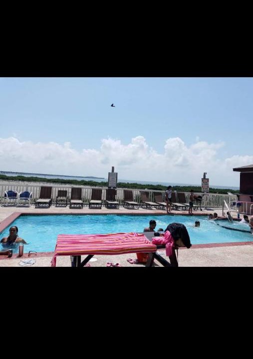 Photo of Others in South Padre Island