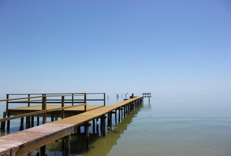 Photo of Others in Fulton