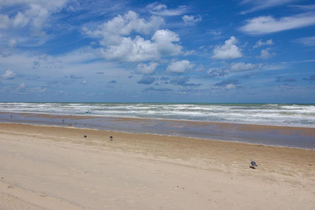 Photo of Others in South Padre Island