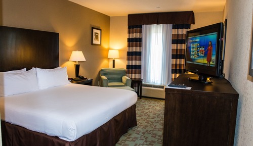 Suite, 1 King Bed, Accessible (Communications)