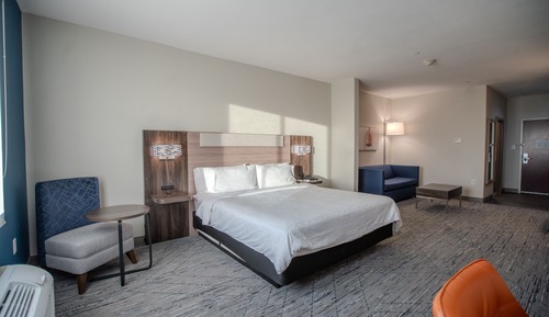 Suite, 1 King Bed with Sofa bed